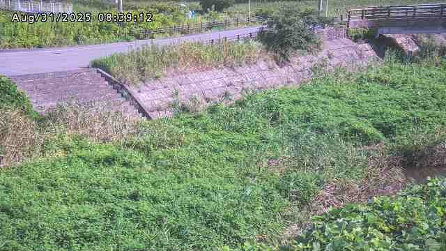 加茂川３2025/08/31 11:20:00