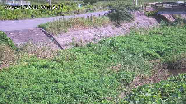 加茂川３2025/08/31 11:20:00