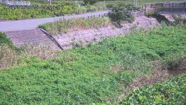 加茂川３2025/08/31 11:20:00