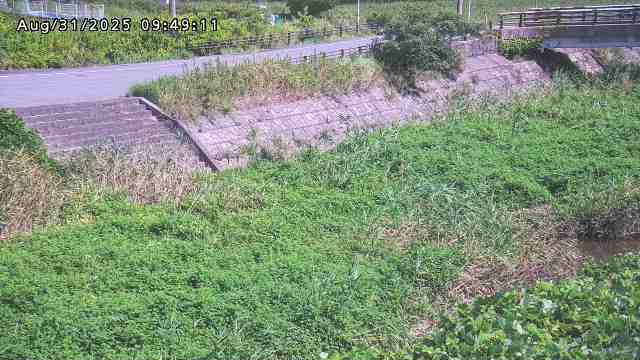 加茂川３2025/08/31 11:20:00