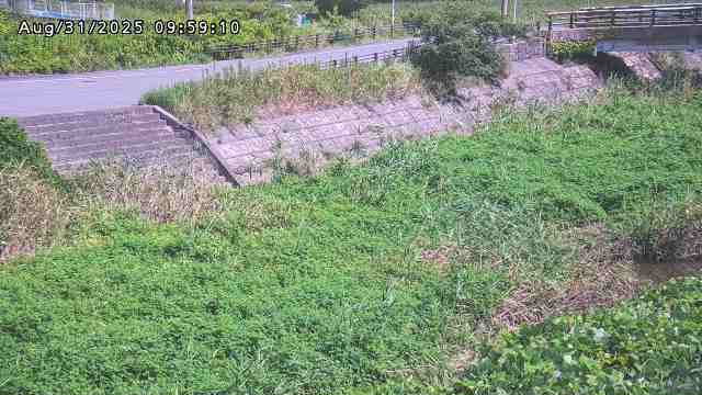 加茂川３2025/08/31 11:20:00
