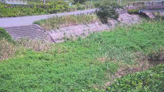 加茂川３2025/08/31 11:20:00