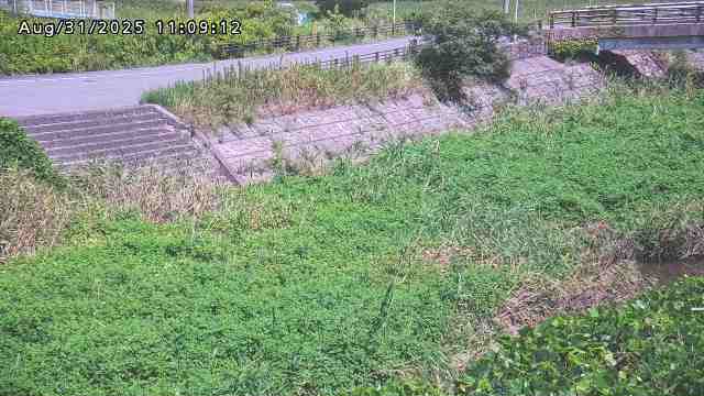 加茂川３2025/08/31 11:20:00