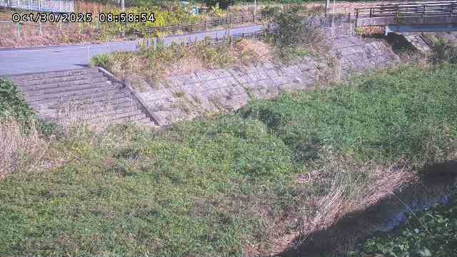 加茂川32025/10/31 07:50