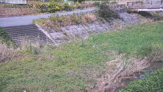 加茂川32025/10/31 07:50
