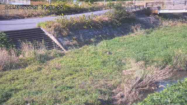 加茂川32025/10/31 07:50