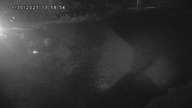 加茂川32025/10/31 07:50