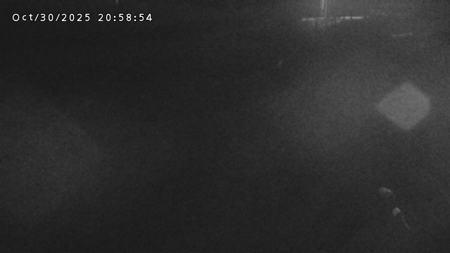 加茂川32025/10/31 07:50