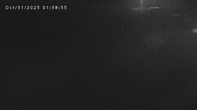 加茂川32025/10/31 07:50