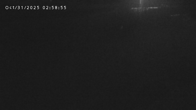 加茂川32025/10/31 07:50