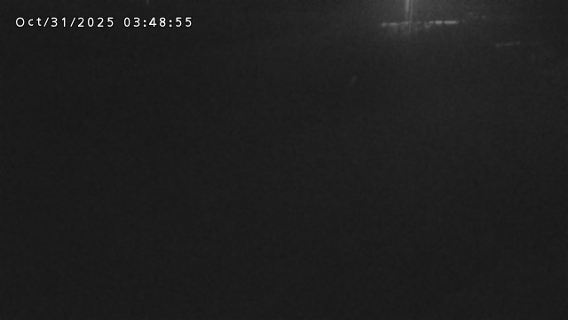 加茂川32025/10/31 07:50