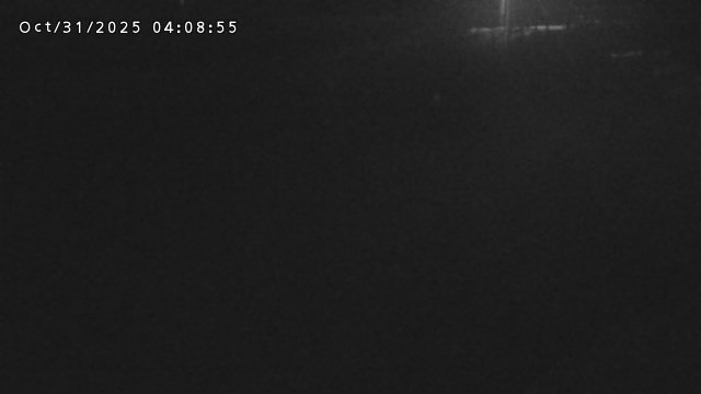 加茂川32025/10/31 07:50