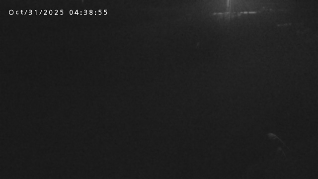 加茂川32025/10/31 07:50