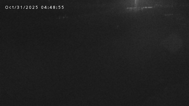 加茂川32025/10/31 07:50