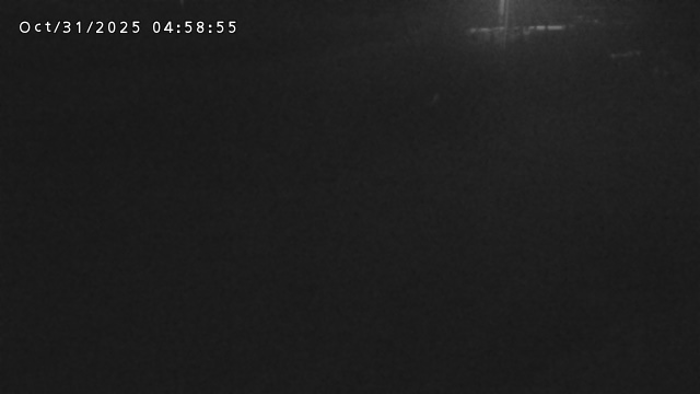 加茂川32025/10/31 07:50