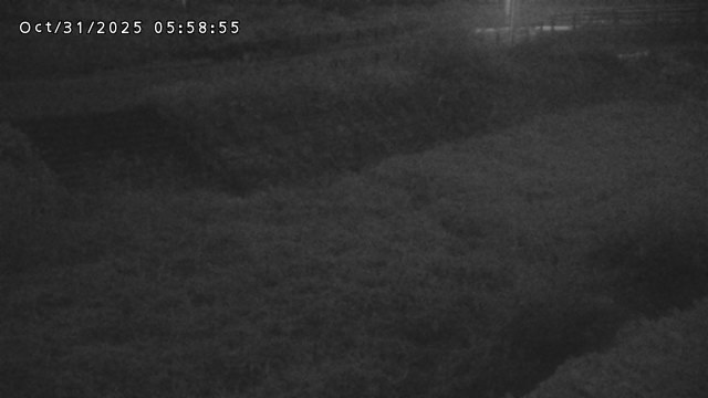 加茂川32025/10/31 07:50