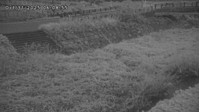 加茂川32025/10/31 07:50