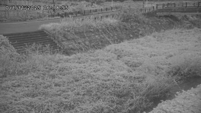 加茂川32025/10/31 07:50