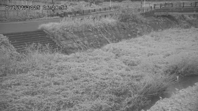 加茂川32025/10/31 07:50
