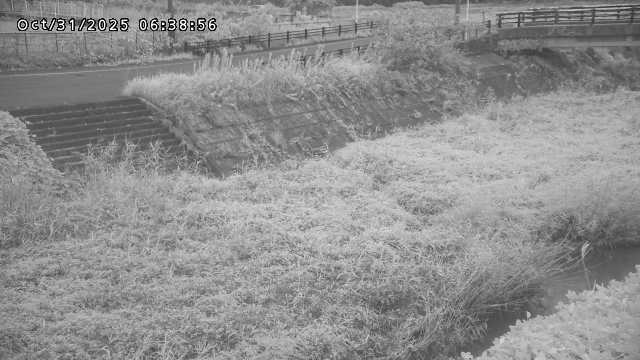 加茂川32025/10/31 07:50