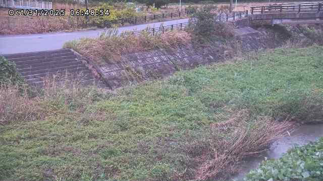 加茂川32025/10/31 07:50
