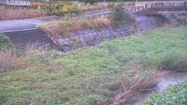 加茂川32025/10/31 07:50