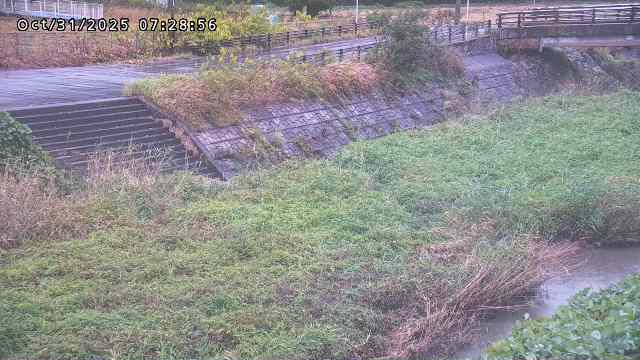加茂川32025/10/31 07:50
