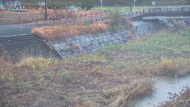 加茂川３2025/12/22 1:00:00