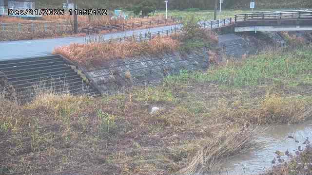 加茂川３2025/12/22 1:00:00
