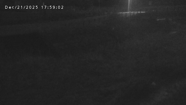 加茂川３2025/12/22 1:00:00