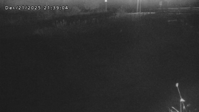 加茂川３2025/12/22 1:00:00