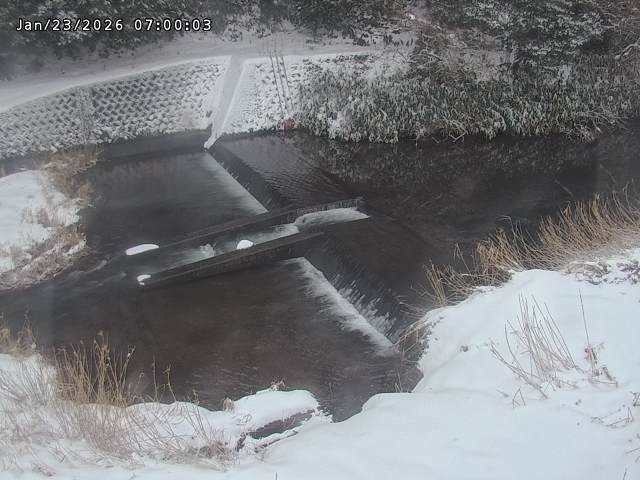 志村川１2026/01/24 2:20:00