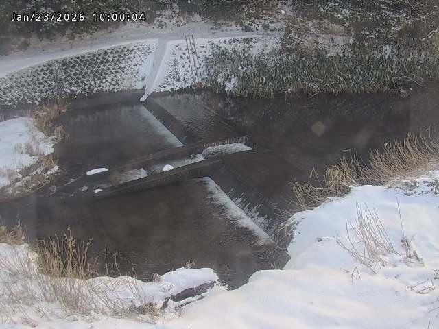 志村川１2026/01/24 2:20:00