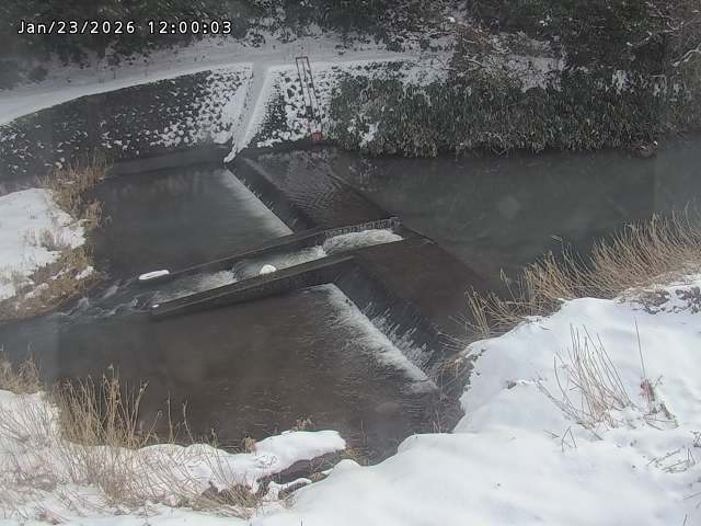 志村川１2026/01/24 2:20:00