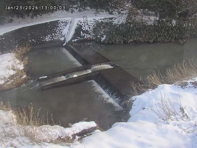 志村川１2026/01/24 2:20:00