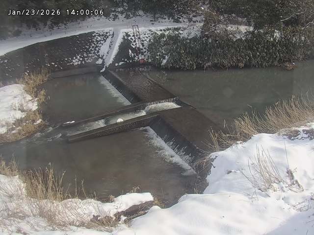 志村川１2026/01/24 2:20:00