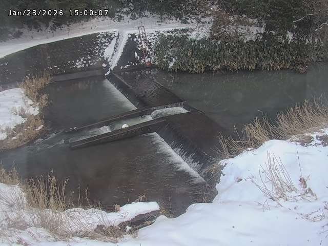 志村川１2026/01/24 2:20:00