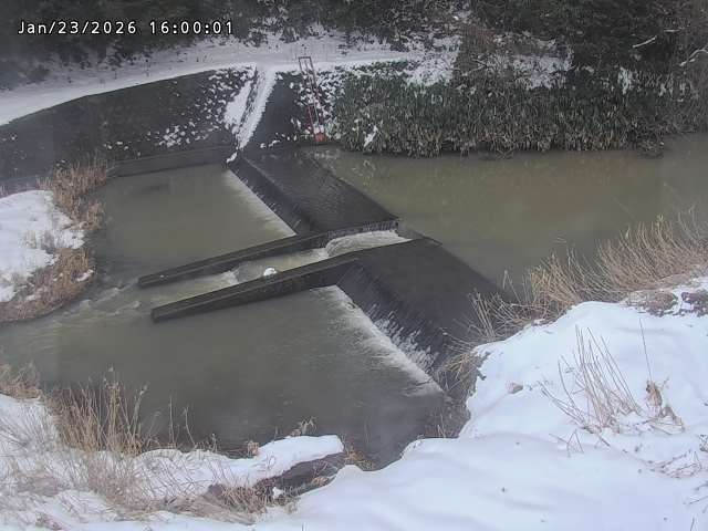 志村川１2026/01/24 2:20:00