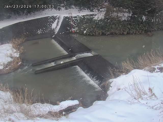 志村川１2026/01/24 2:20:00