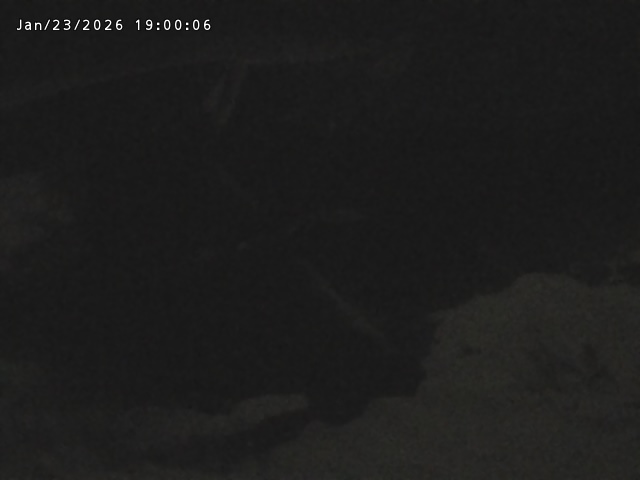 志村川１2026/01/24 2:20:00