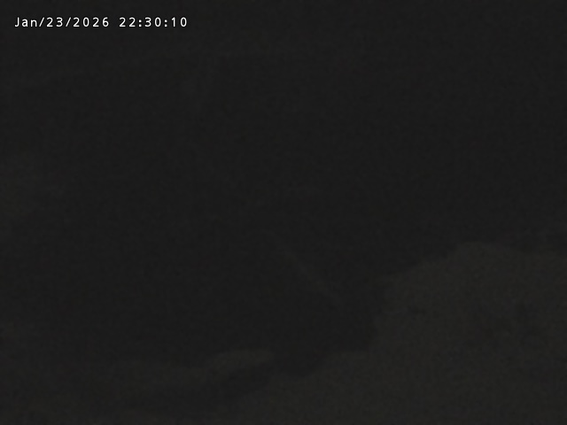 志村川１2026/01/24 2:20:00