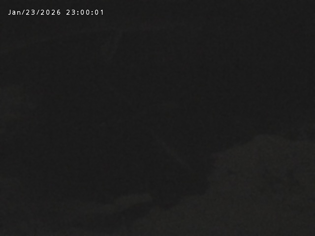 志村川１2026/01/24 2:20:00