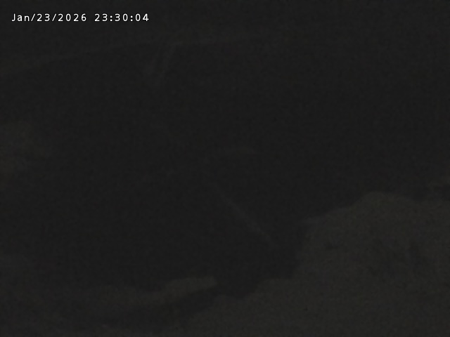 志村川１2026/01/24 2:20:00