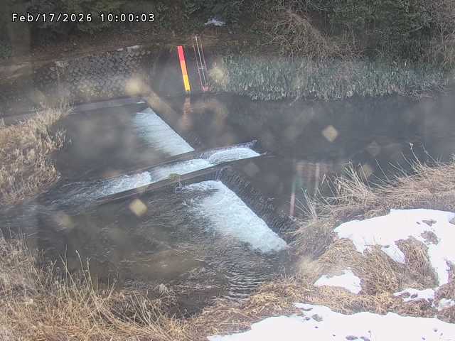 志村川１2026/02/17 18:30:00