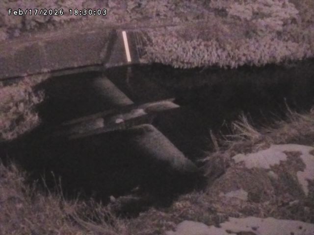 志村川１2026/02/17 20:10:00