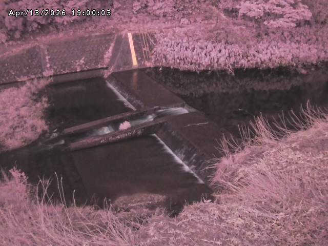 志村川１2026/04/14 17:10:00