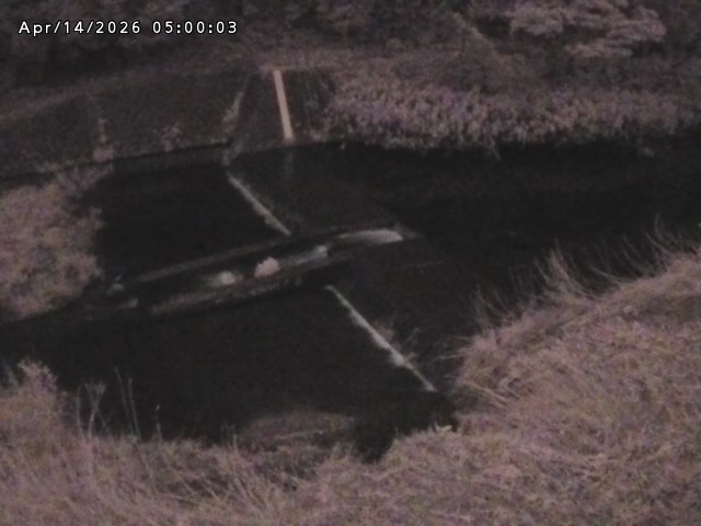 志村川１2026/04/14 17:10:00