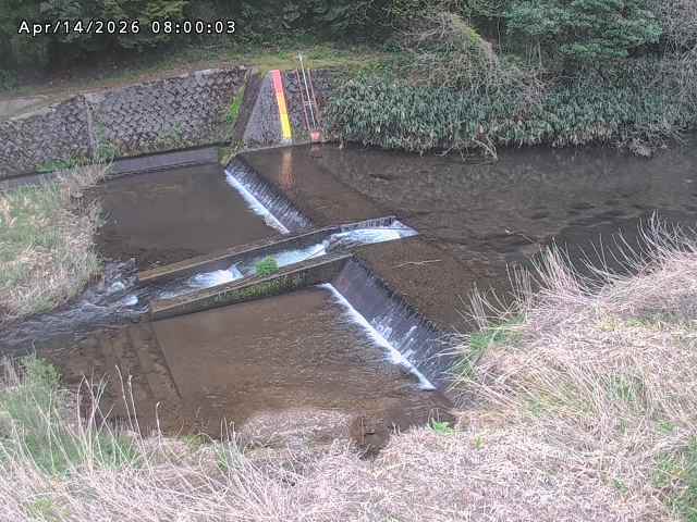 志村川１2026/04/14 17:10:00