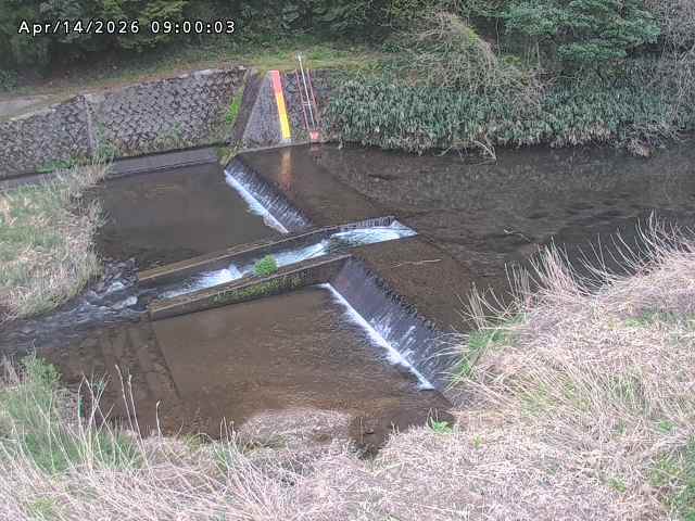 志村川１2026/04/14 17:10:00