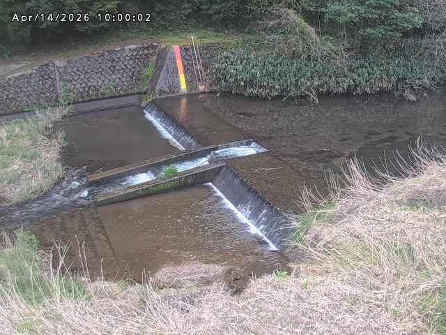 志村川１2026/04/14 17:10:00